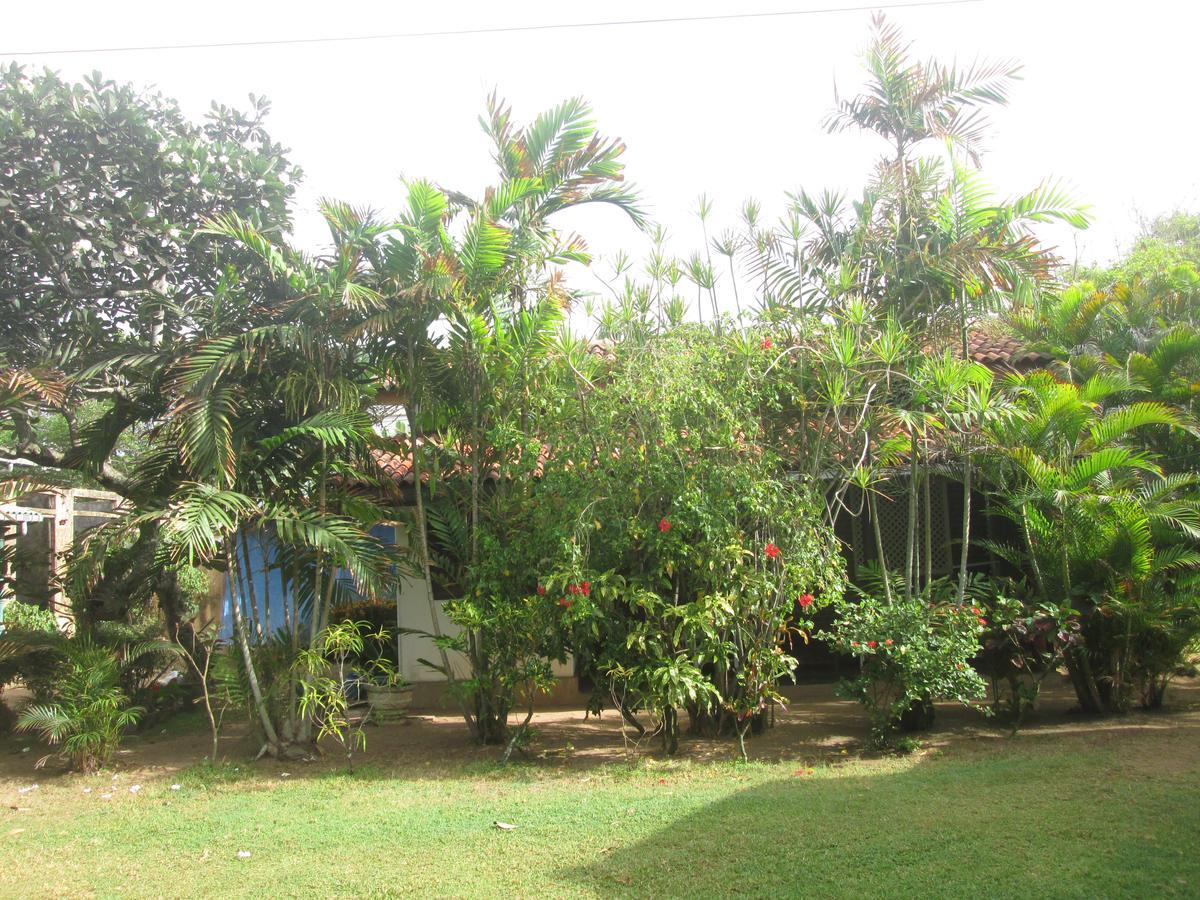 Cottage Garden Bungalows Moratuwa Exterior photo